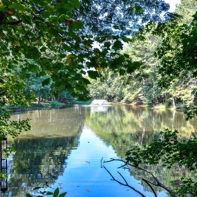 The Preserve at Dunwoody - Tranquil Lake
